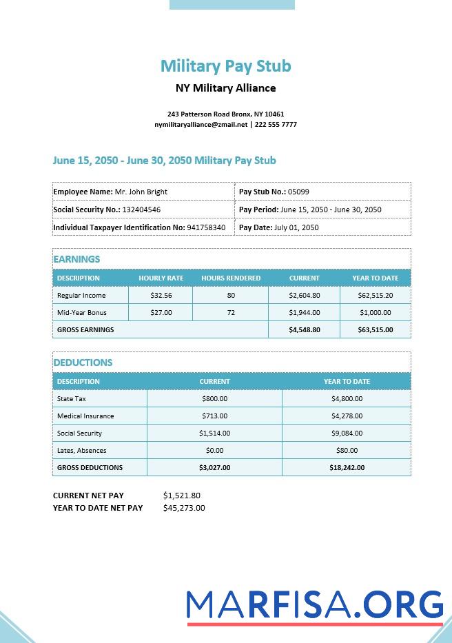 Realistic Military Pay Stub (1) template